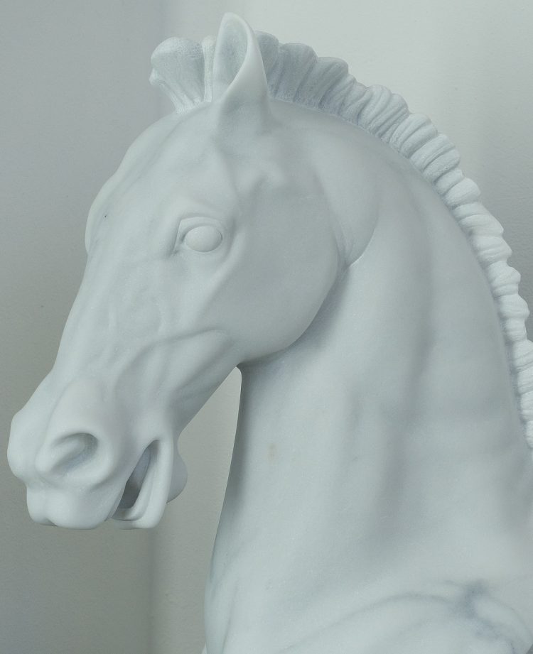 horse-ge316208fe_1920